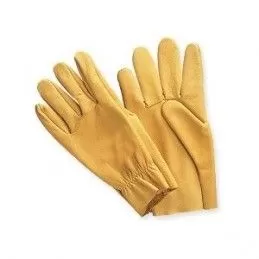GANT 1559 GUYARD 1559